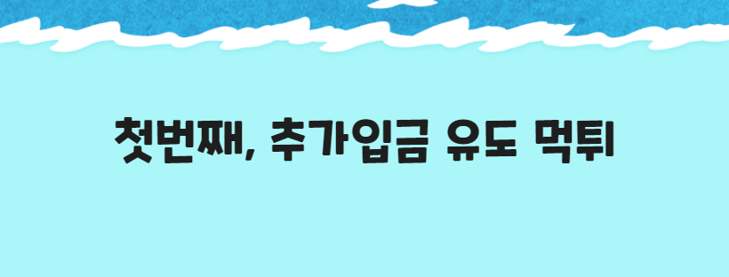 첫번째, 추가입금 유도 먹튀